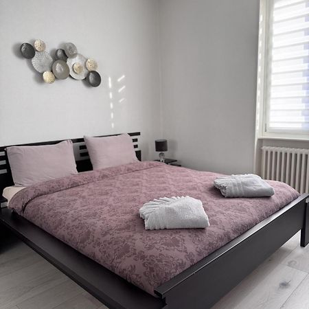 Appartement Des 3 Pays. 2 Mn De Bale+ Free Parking Saint-Louis  Exterior foto