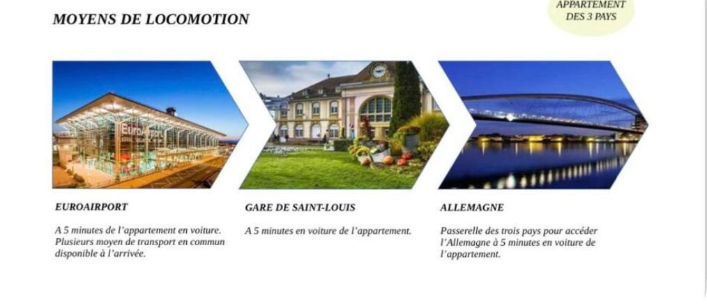 Appartement Des 3 Pays. 2 Mn De Bale+ Free Parking Saint-Louis  Exterior foto